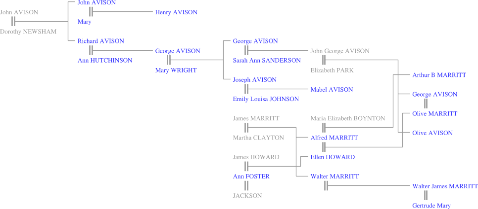 Family tree image map